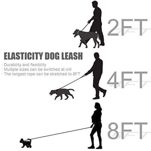 Dog Leash, Elastic Dog Leash, Small And Medium-Sized Dog