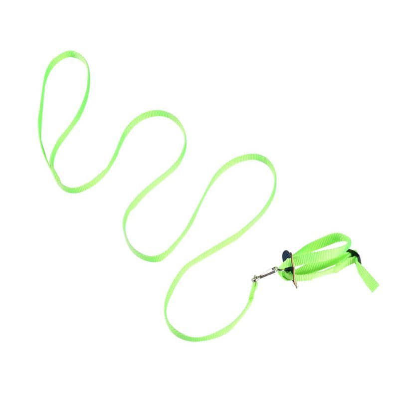 Portable New Parrot Bird Hamster Turtle Lizard Traction