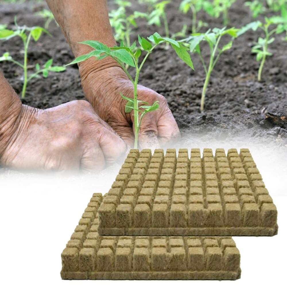 50/100Pcs Rockwool Stonewool Hydroponics Grow Starter Cubes Propagation Block 100pcs