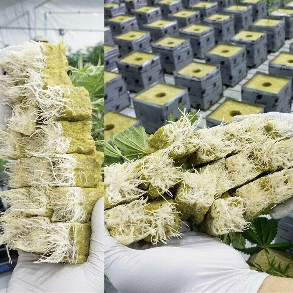 50/100Pcs Rockwool Stonewool Hydroponics Grow Starter Cubes Propagation Block 100pcs