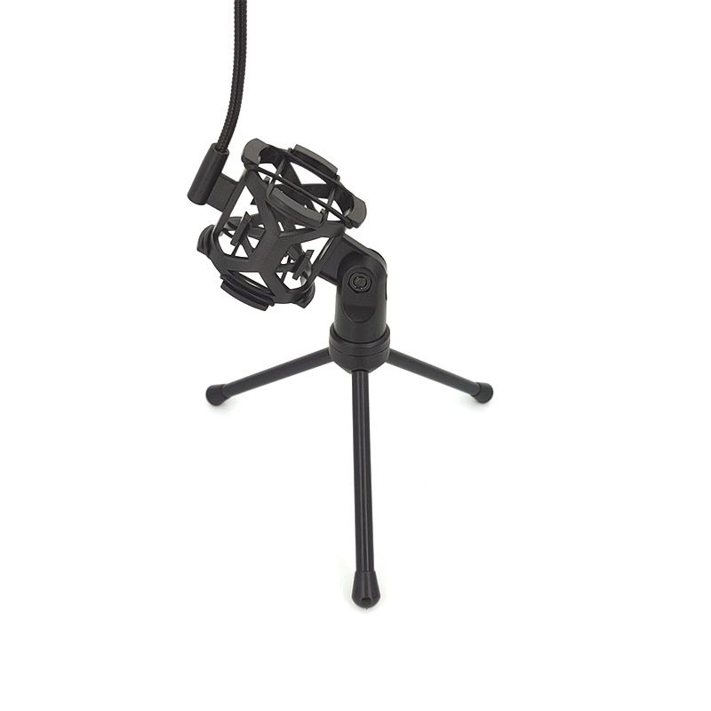 Professional Microphone Desk Stand Recording Equipment