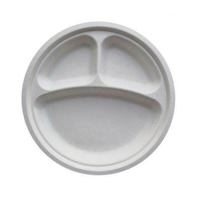24pcs Party Disposable Plates - 3 Compartment