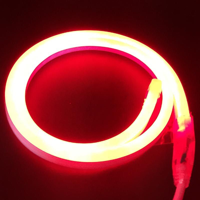 1-10m Outdoor&Indoor LED Lighting Flex LED Neon Light SMD 2835 120leds/m LED Neon Strip Rope Light Waterproof 220V Power Plug-Blue-6meters--