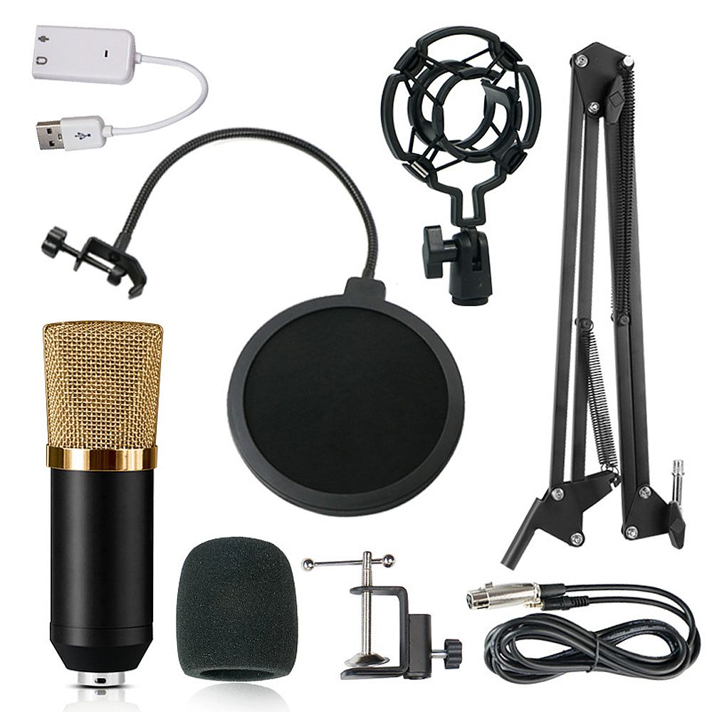 Professional BM700 Condenser Microphone Sound Recording