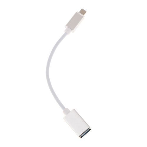USB OTG Adapter Female Cable For IPad IPhone 10.3 Or Above Silver