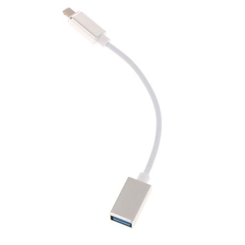 USB OTG Adapter Female Cable For IPad IPhone 10.3 Or Above Silver