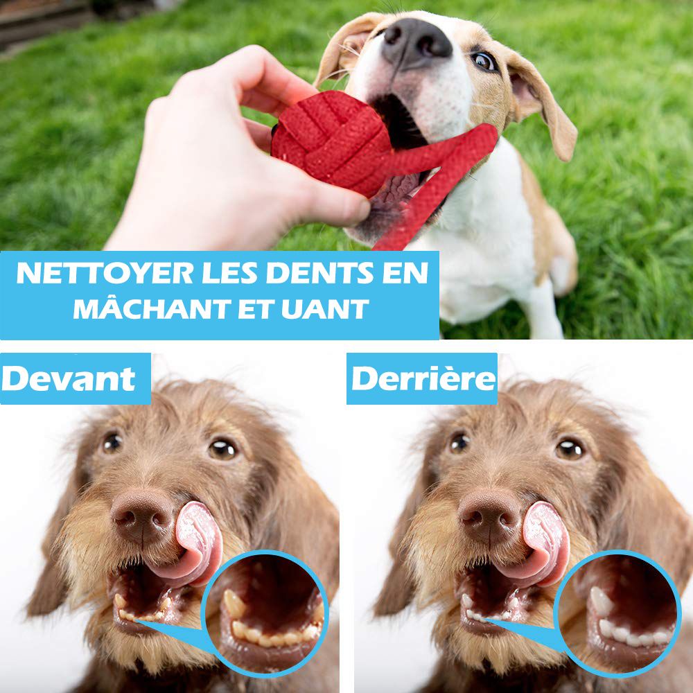 12Pcs Large Dog Toy Sets Chew Rope Toys For Dog Chewing Toys For Dog Outdoor Teeth Clean Toy For Big Dogs Juguete Para Perros-Macaron Dog Toy