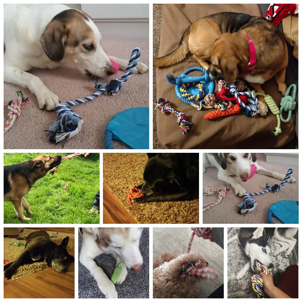 12Pcs Large Dog Toy Sets Chew Rope Toys For Dog Chewing Toys For Dog Outdoor Teeth Clean Toy For Big Dogs Juguete Para Perros-Macaron Dog Toy