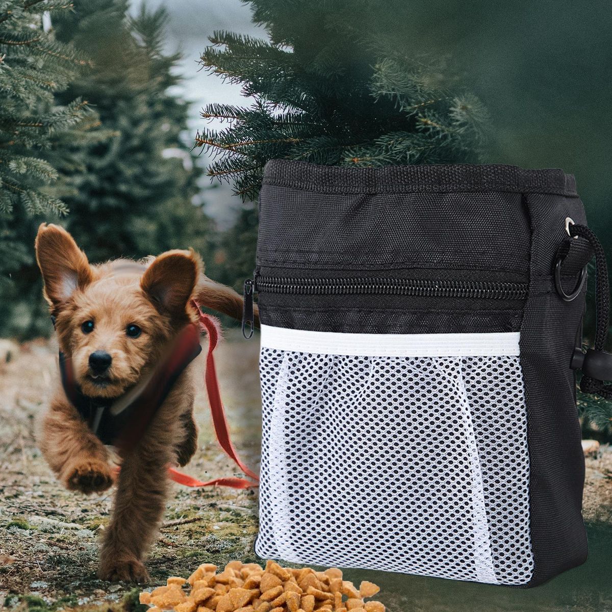 Dog Training Pouch Waist Belt Snack Treat Storage Bag Poop Bags Black