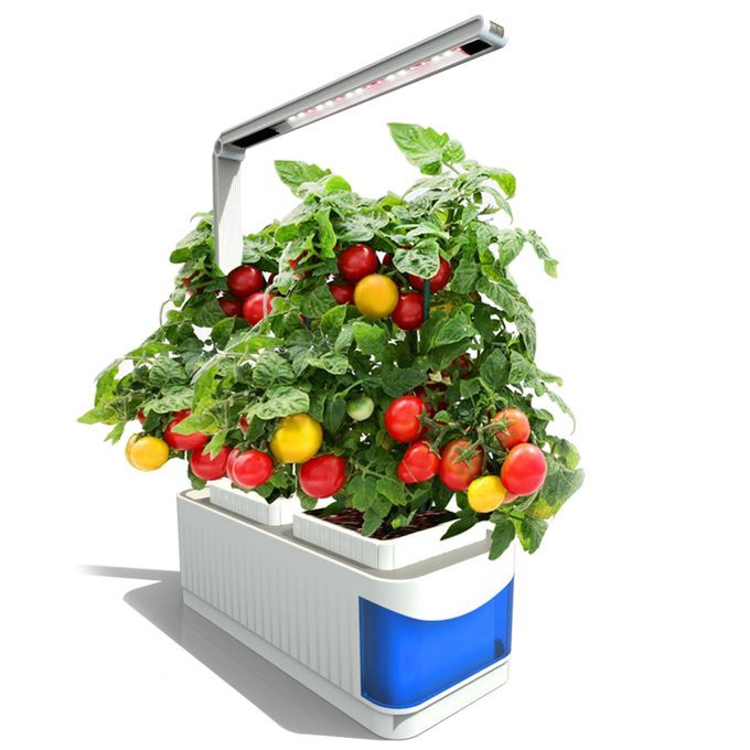Desk Lamp Hydroponic Indoor Herb Garden Growing Light With Planter AU