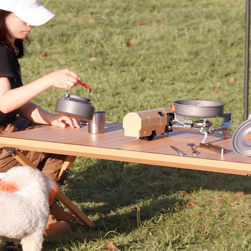 Camping Stove Portable Foldable Cassette Stove