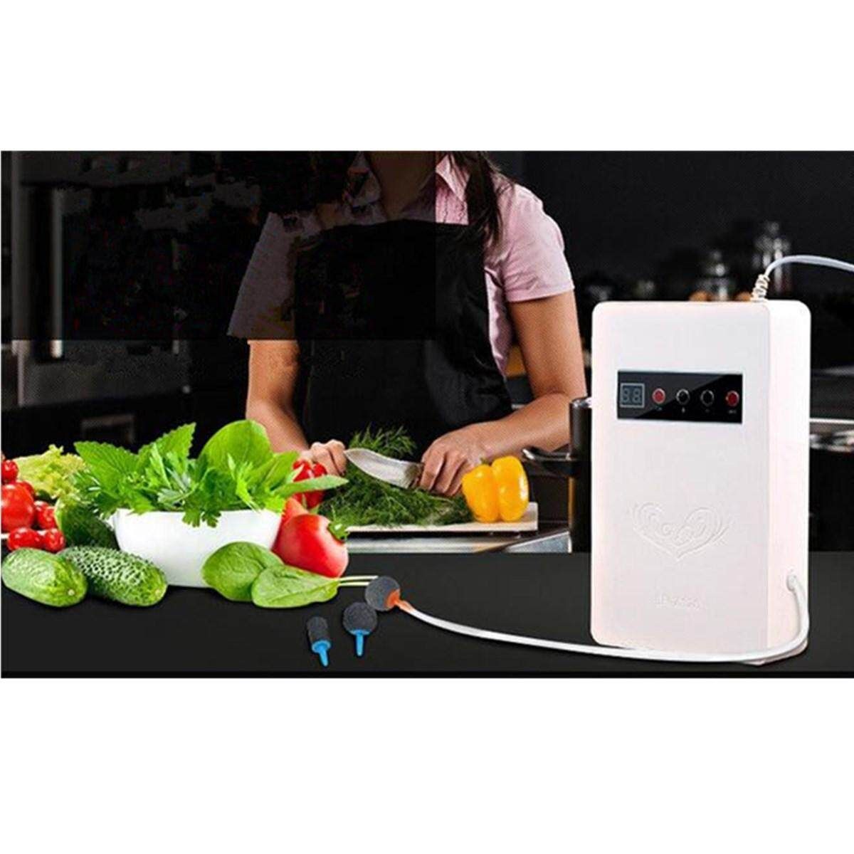 Ozone Ozonator Air Food Vegetables Purifier # White White