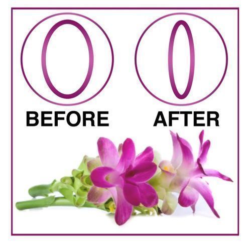 Curcuma Comosa Vaginal Tightener & PMS Menstrual Odor Pills