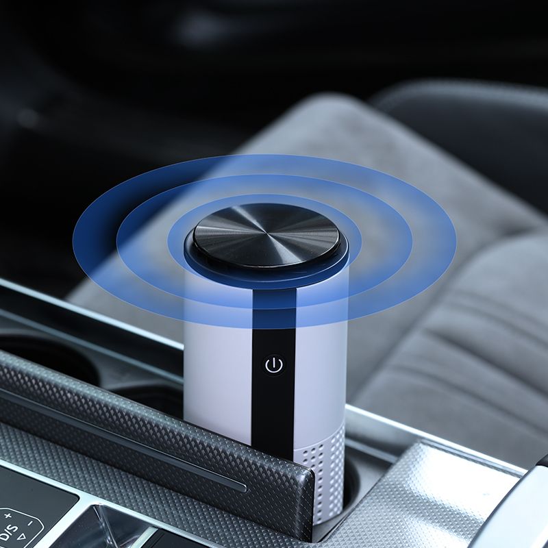 Portable Air Purifier For Home With True HEPA Filters