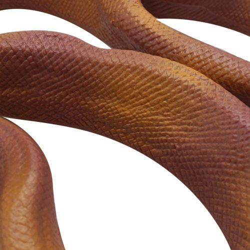 Children's Simulation Wild Animal Model Toy Giant