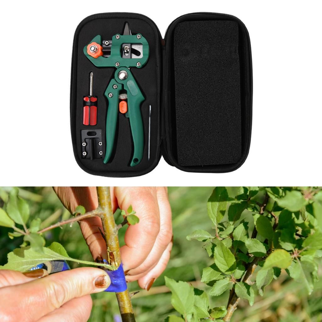 Grafting   Set Supplies Non-Slip Handle For Green