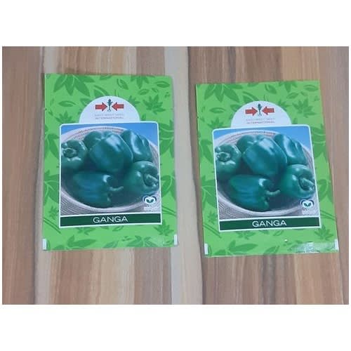 Ganga Green Bell Pepper Seeds 2 Packs