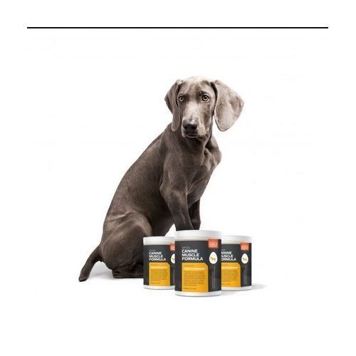 Dog Canine Muscle Formula  360 Grams