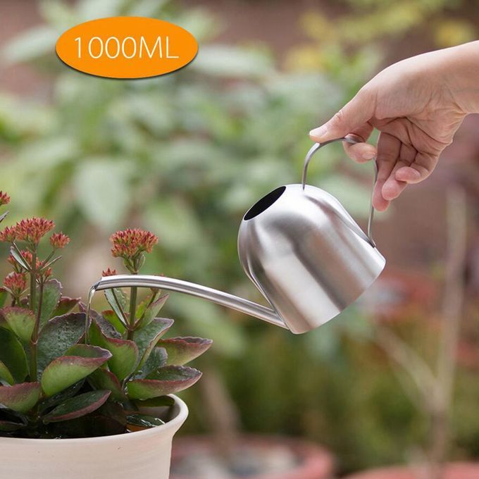 1L Watering Can Long Spout Bonsai Succulents Watering Pot Silver