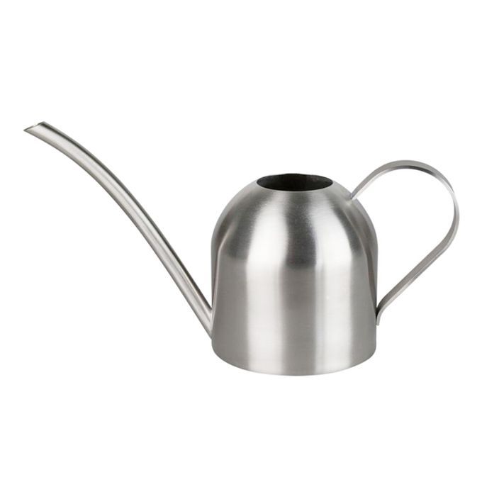 1L Watering Can Long Spout Bonsai Succulents Watering Pot Silver