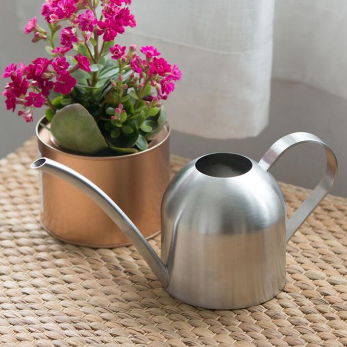 1L Watering Can Long Spout Bonsai Succulents Watering Pot Silver