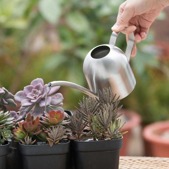 1L Watering Can Long Spout Bonsai Succulents Watering Pot Silver