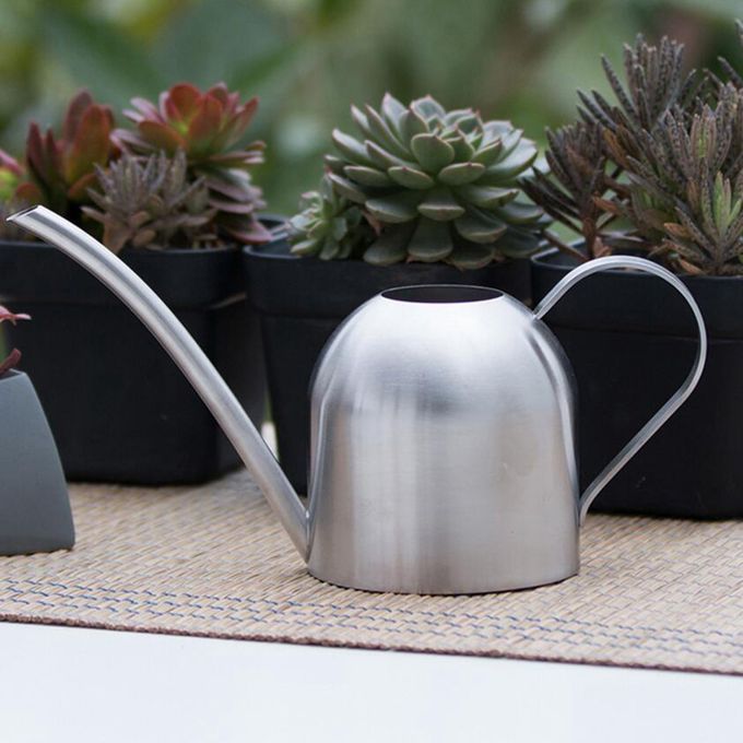 1L Watering Can Long Spout Bonsai Succulents Watering Pot Silver