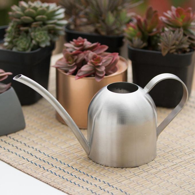 1L Watering Can Long Spout Bonsai Succulents Watering Pot Silver