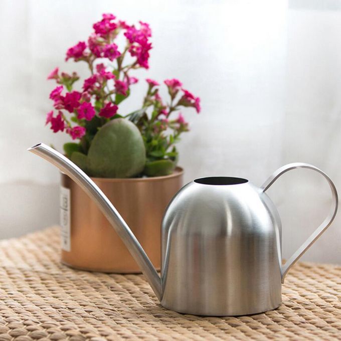 1L Watering Can Long Spout Bonsai Succulents Watering Pot Silver