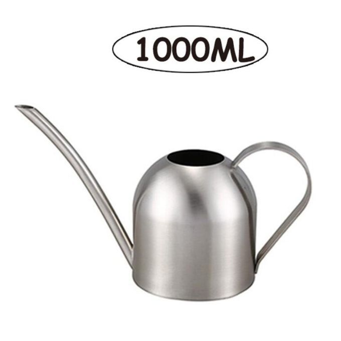 1L Watering Can Long Spout Bonsai Succulents Watering Pot Silver