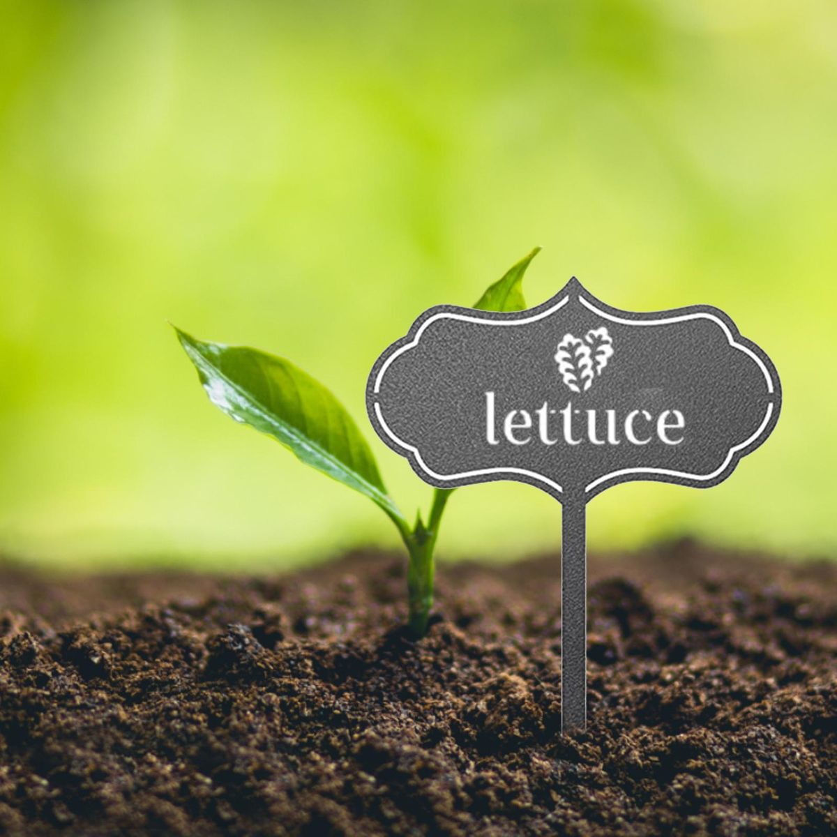 Plant Sign Plant Labels Nursery Vegetable Markers Tags