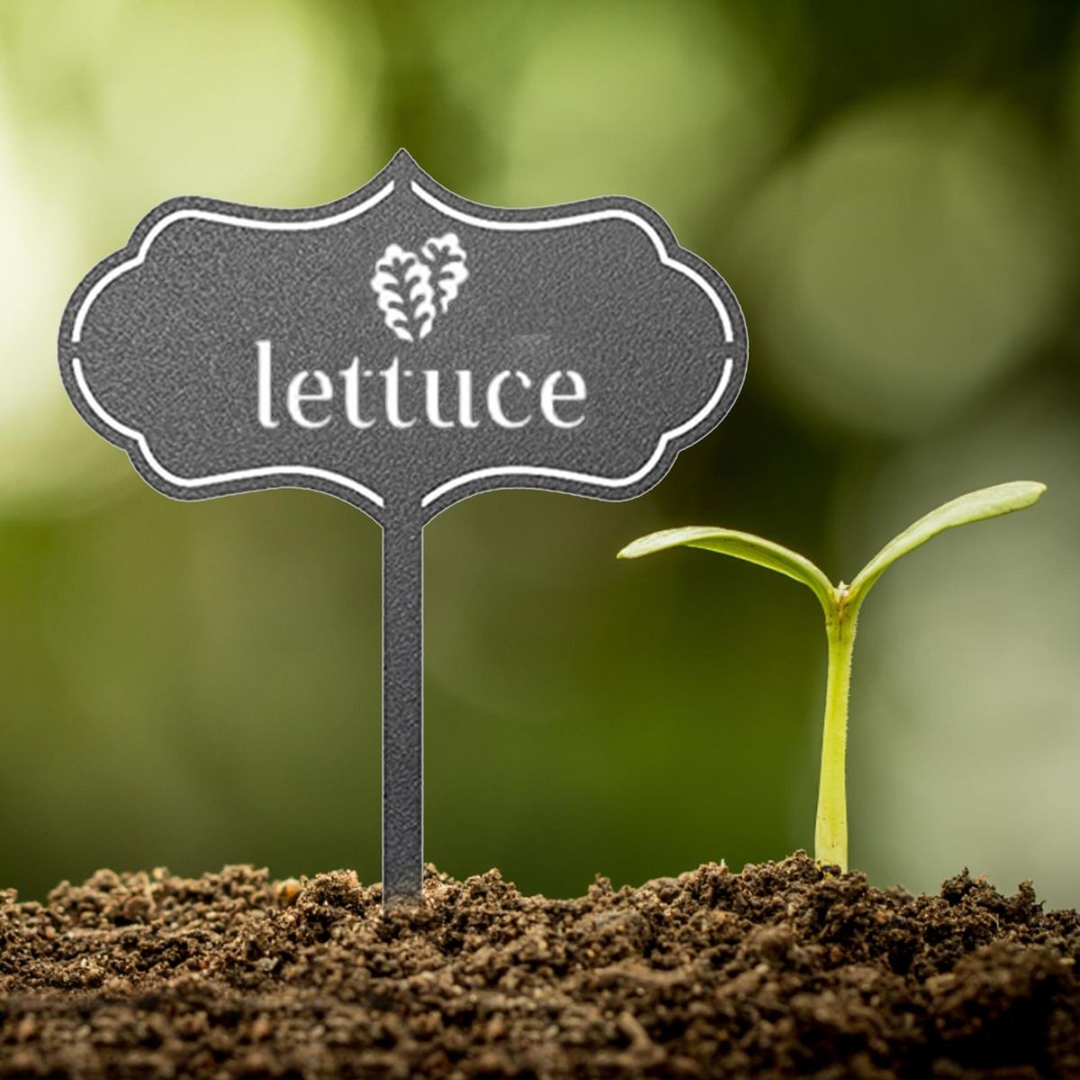Plant Sign Plant Labels Nursery Vegetable Markers Tags