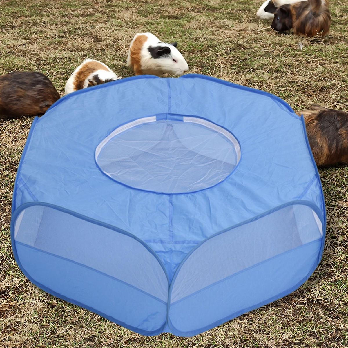 Portable  Anti  Breathable For With Cover