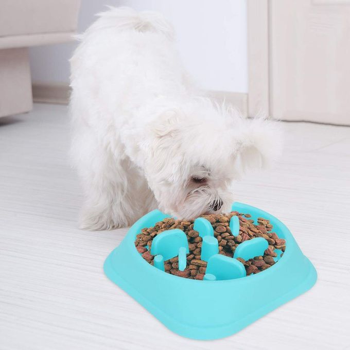 Onvenient Durable And Pra Ti Al  Onvenient Pet Single Bowl + Wooden Frame-gray
