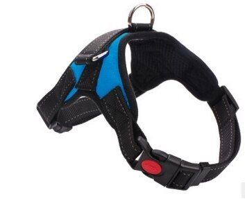 Strap Leash Bulldog Dog Chain