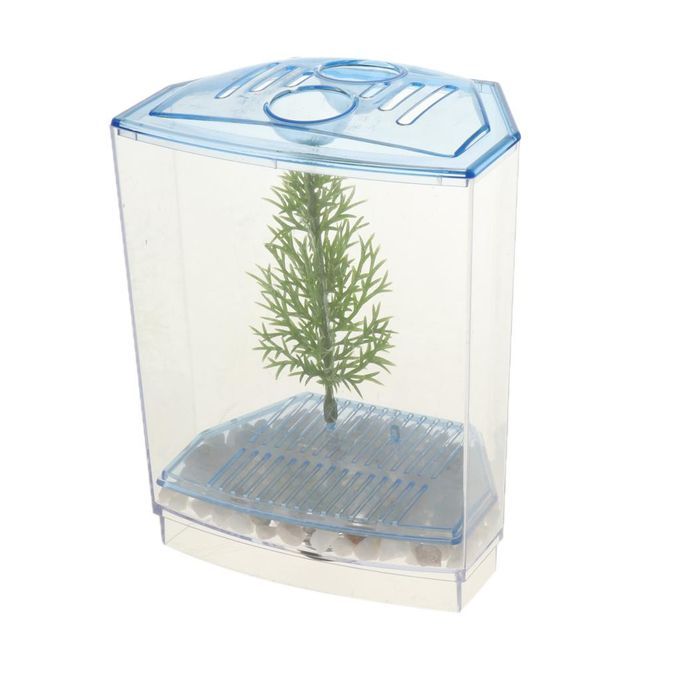 Clear Betta Bowl Aquarium Kit   Breeding Box Plastic Feeding #2