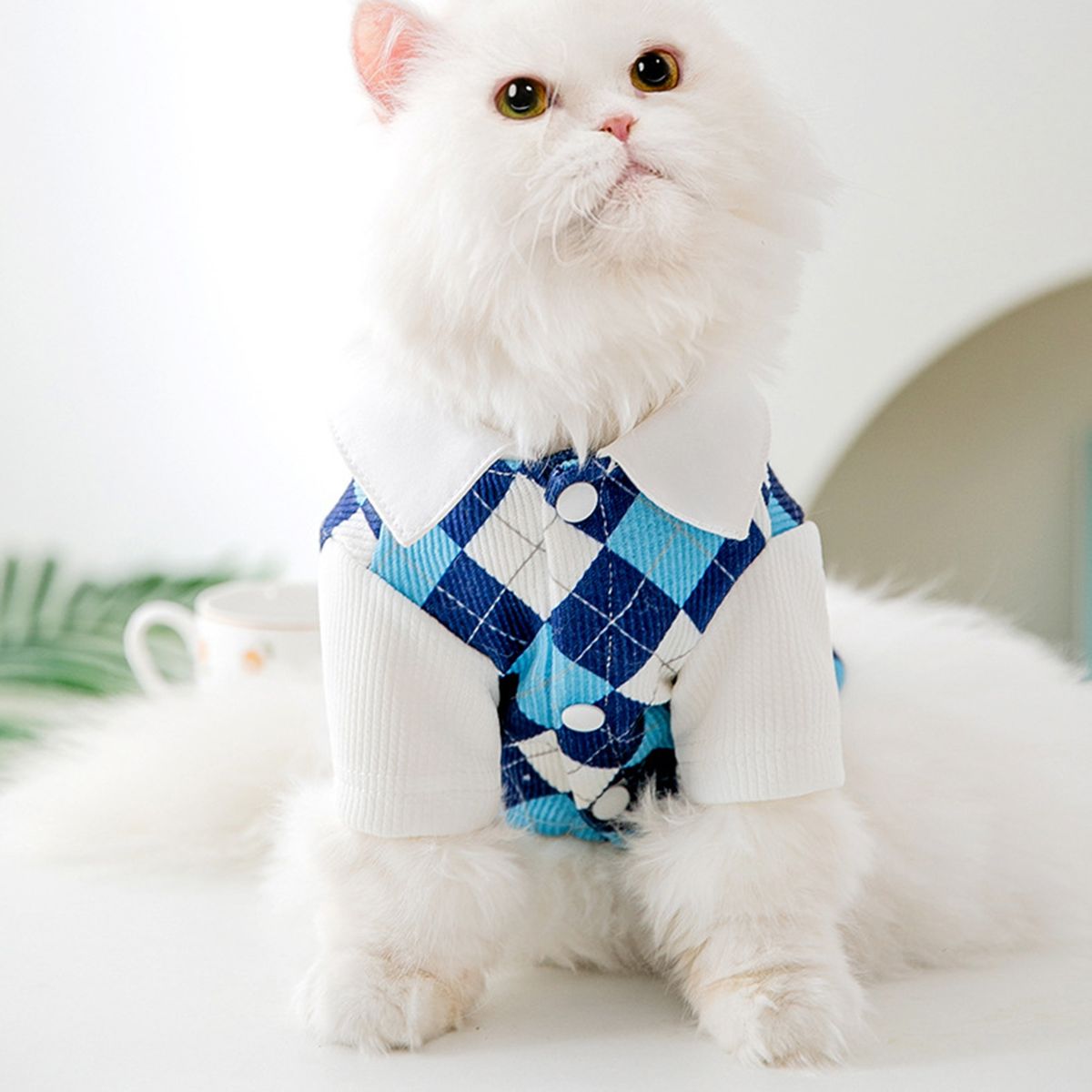 Dog Skirt College Style Summer Print Cat Dog Dress Pet Apparel Blue