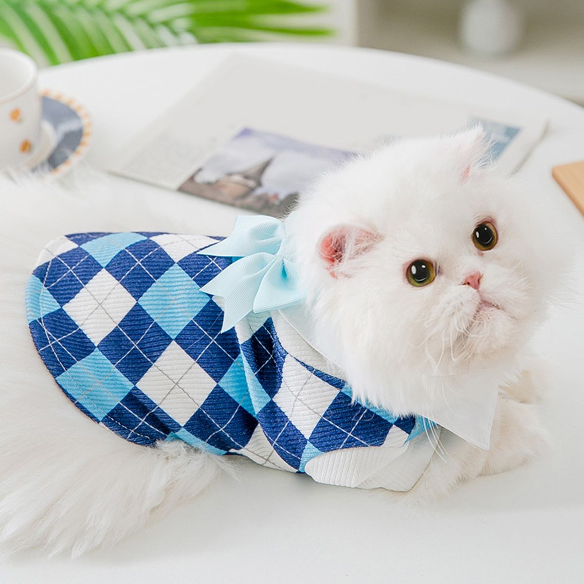 Dog Skirt College Style Summer Print Cat Dog Dress Pet Apparel Blue