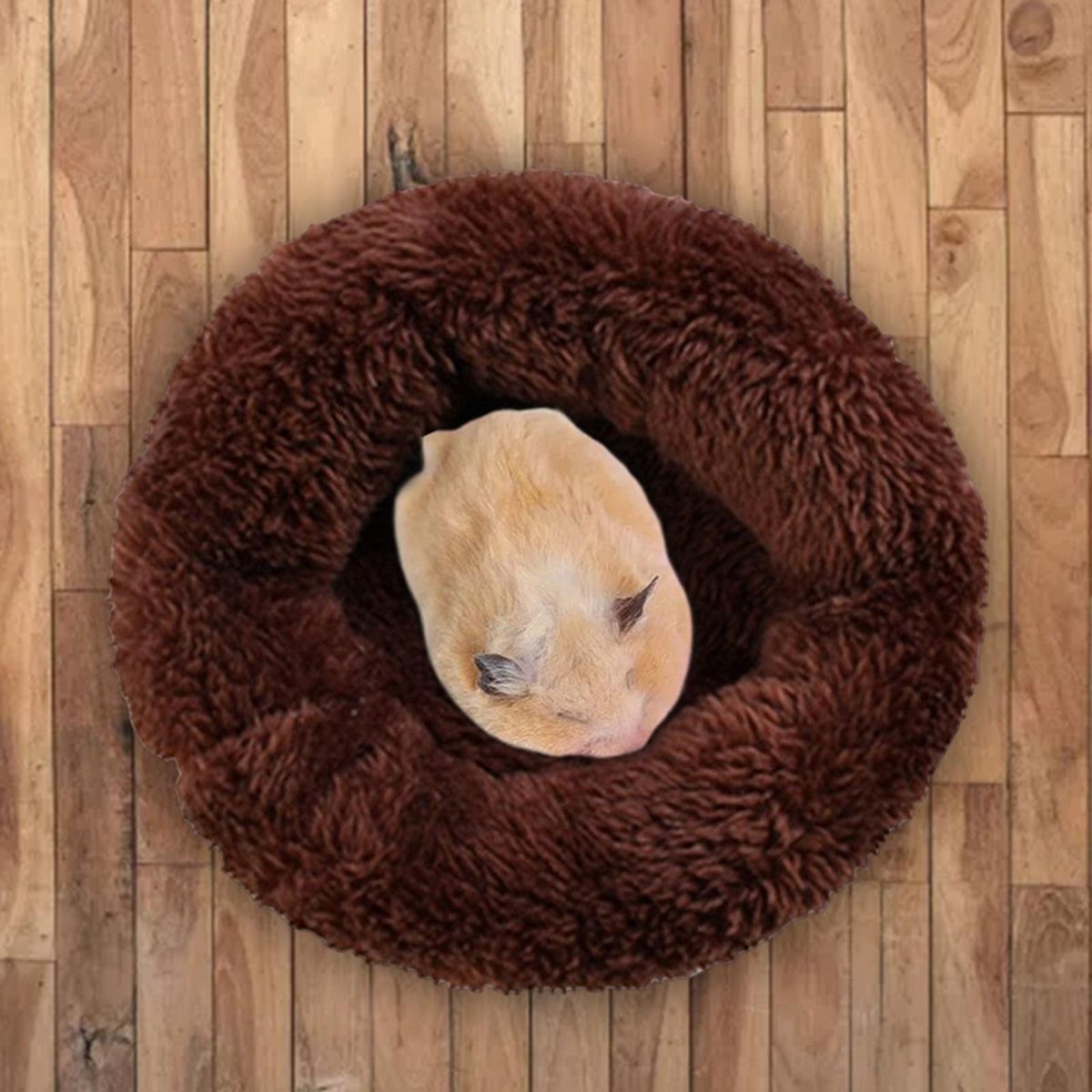 Cute Small Animal Mat Hamster House Warm Bed Bedding S Dark Brown