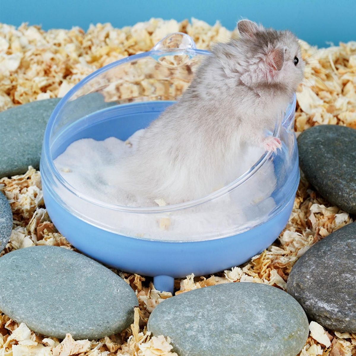 Small Animal Toilet Small Pet Sandbox Container Blue