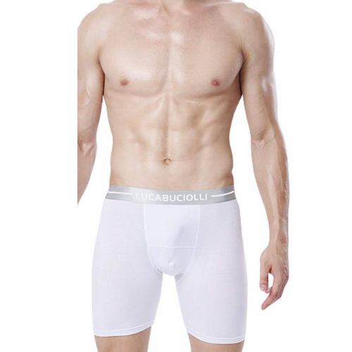 Men's Underwear Modal Breathable Trunk Boxer Briefs