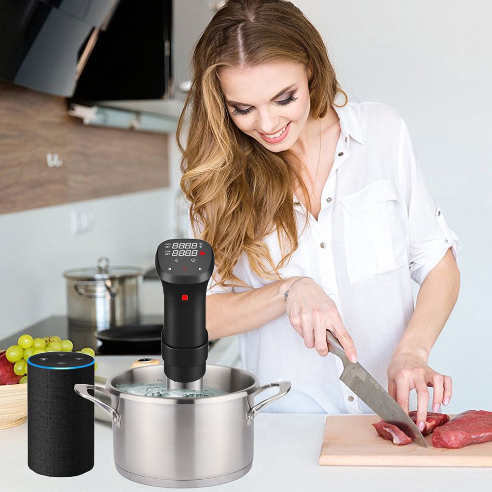 1100W Sous Vide Cooker Waterproof Quiet Cooking Machine With