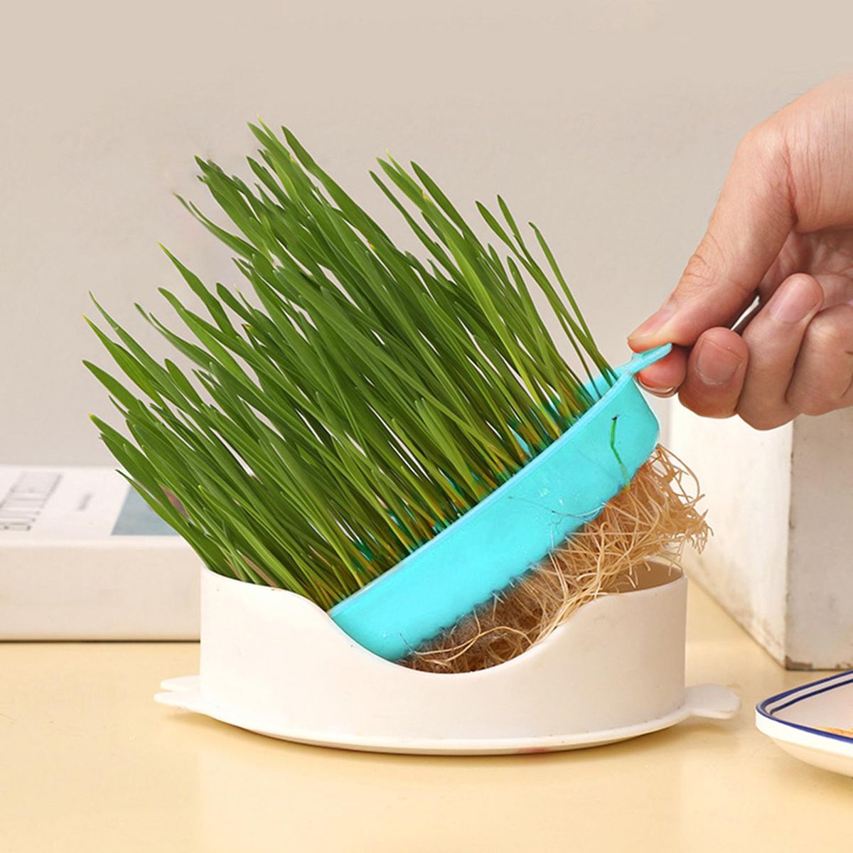 Seed  Tray Reusable Catnip Growing Tray