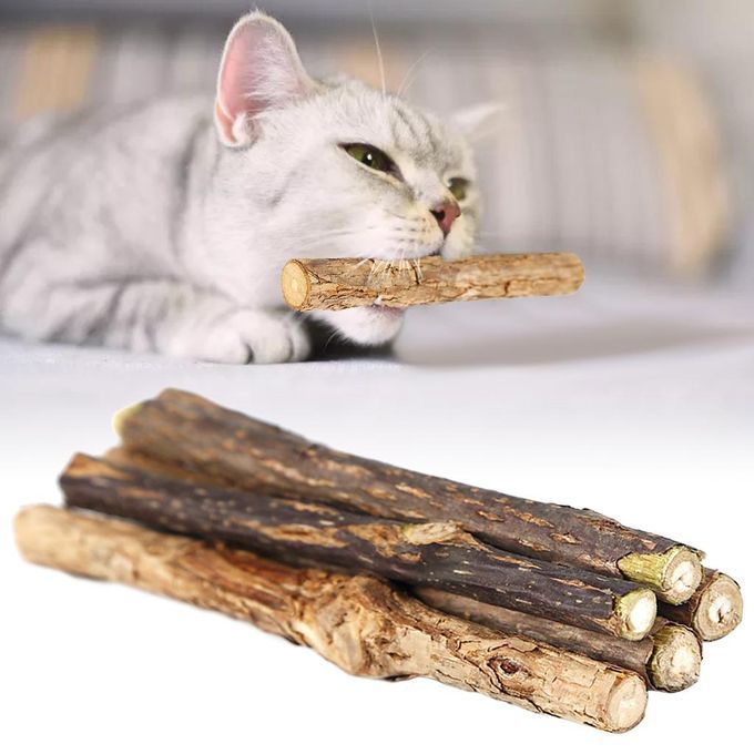 5Pcs Catnip Silvervine Sticks Natural Toothpaste Snack Molar Safe Toys