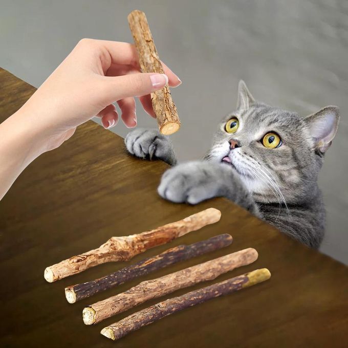 5Pcs Catnip Silvervine Sticks Natural Toothpaste Snack Molar Safe Toys