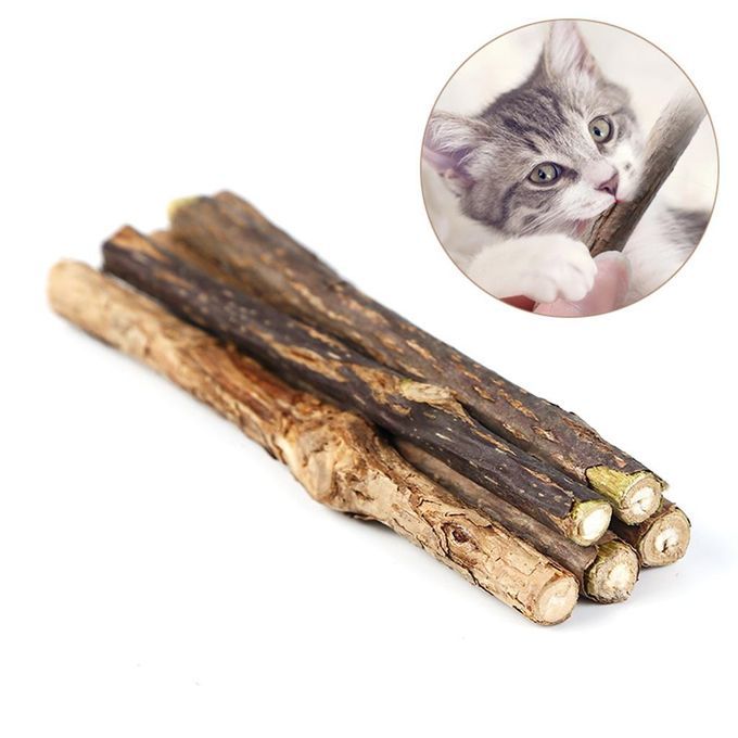 5Pcs Catnip Silvervine Sticks Natural Toothpaste Snack Molar Safe Toys