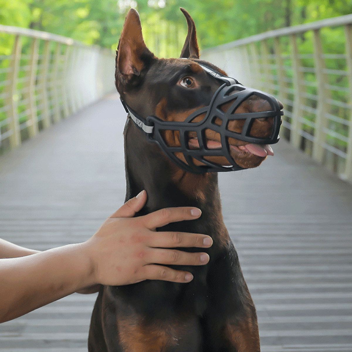 Dog Mouth Cover Pet Anti-Barking Muzzles Face Guard 1