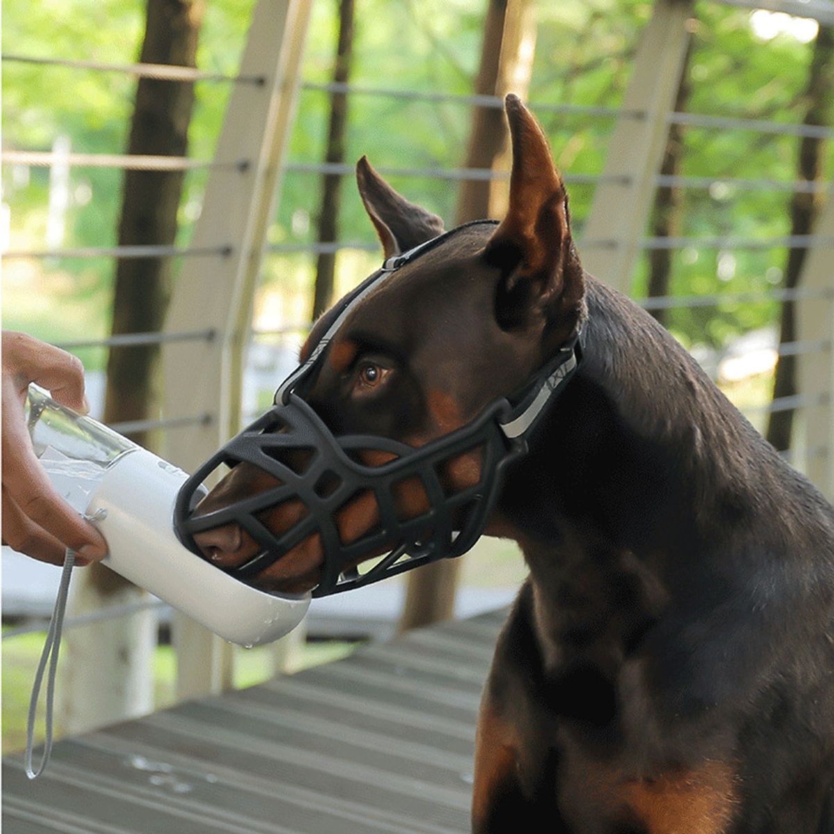 Dog Mouth Cover Pet Anti-Barking Muzzles Face Guard 1