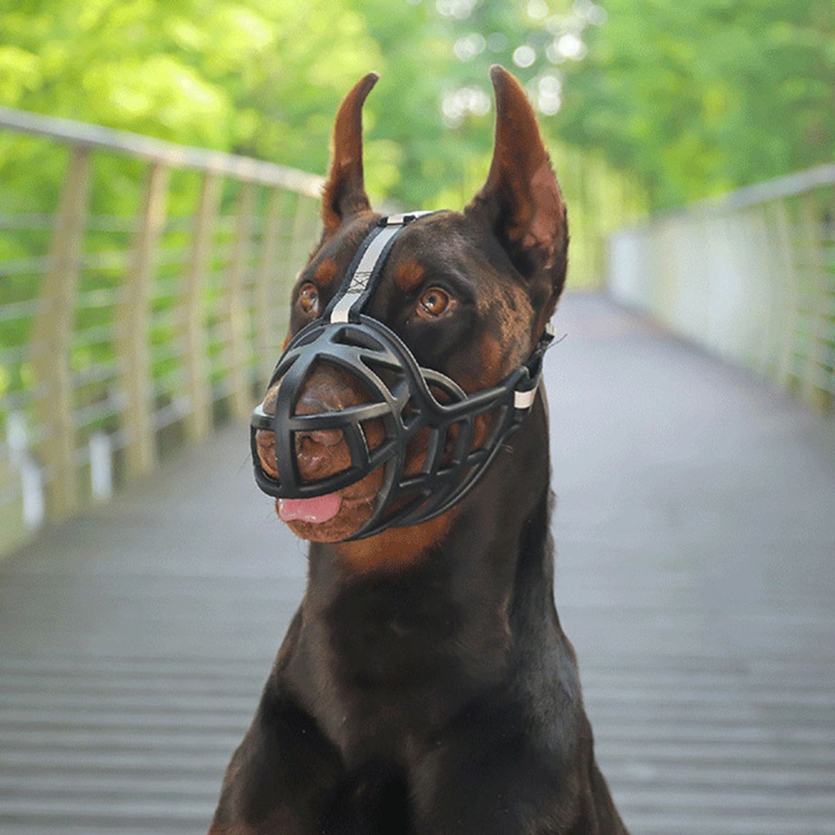 Dog Mouth Cover Pet Anti-Barking Muzzles Face Guard 1