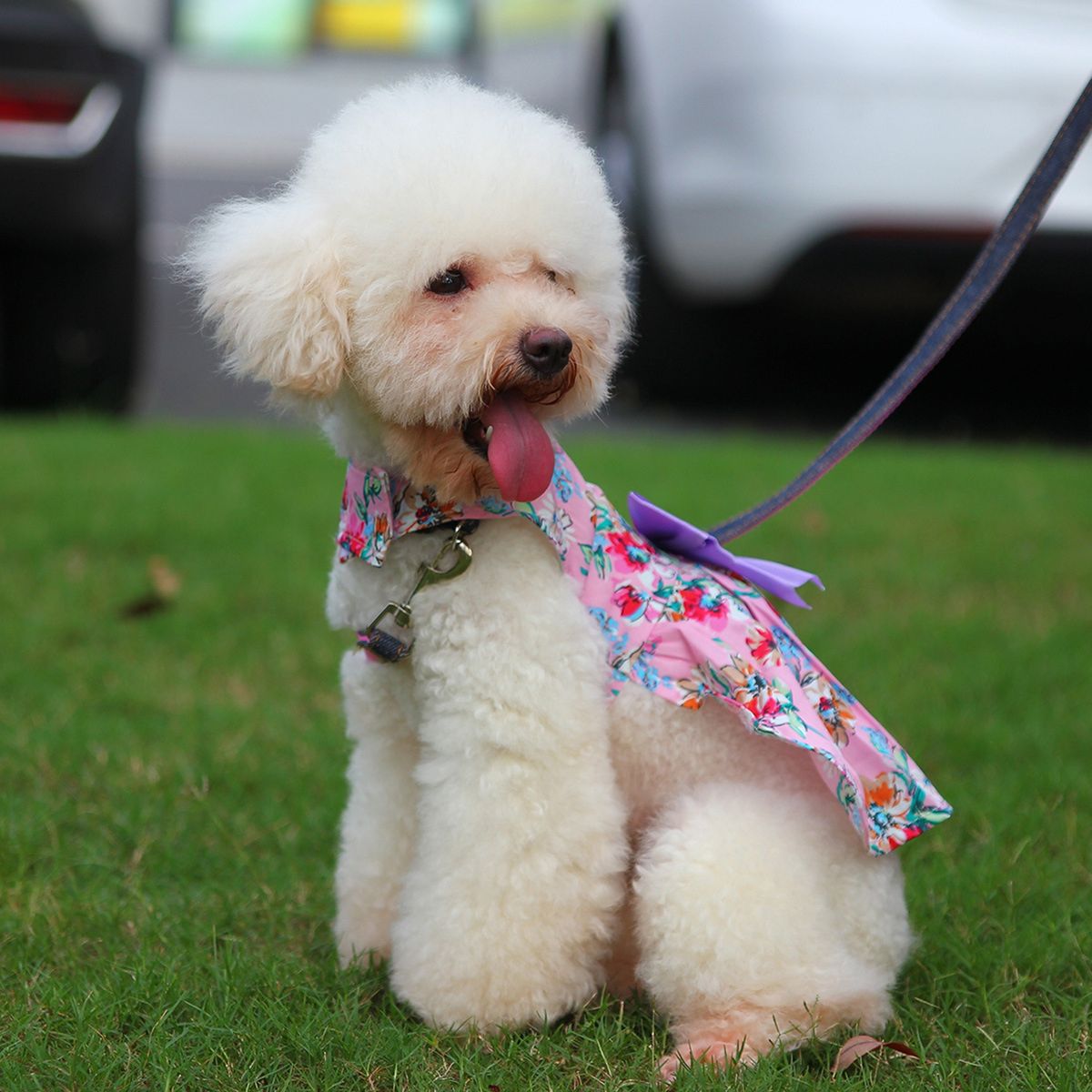 Cat Skirt Puppy Dog Skirt Pet Flower Dress Pink